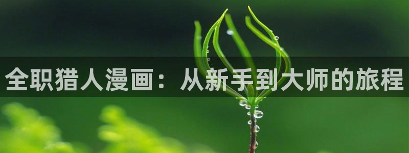 漫画屋漫画免费看：全职猎人漫画：从新手到大师的旅程