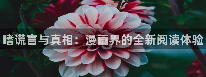 宦妃天下漫画屋：嗜谎言与真相：漫画界的全新阅读体验