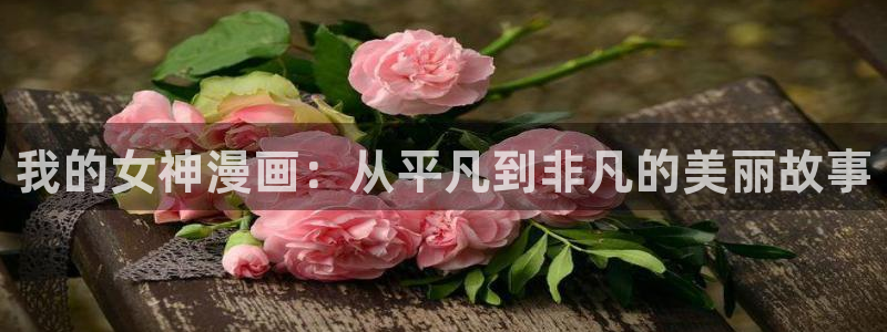 聚合漫画屋网页版：我的女神漫画：从平凡到非凡的美丽故事
