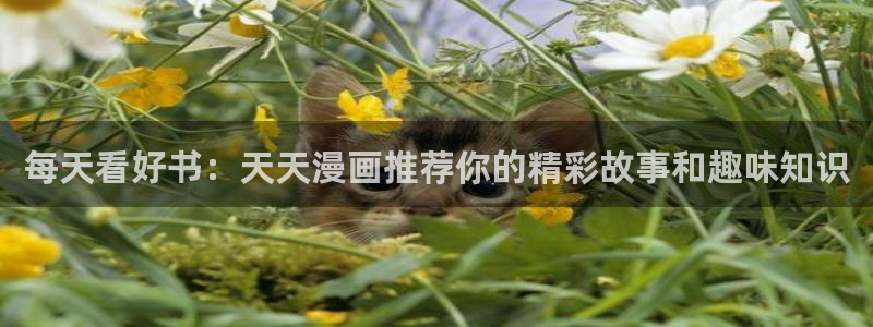 瑟瑟漫画屋：每天看好书：天天漫画推荐你的精彩故事和趣味知识